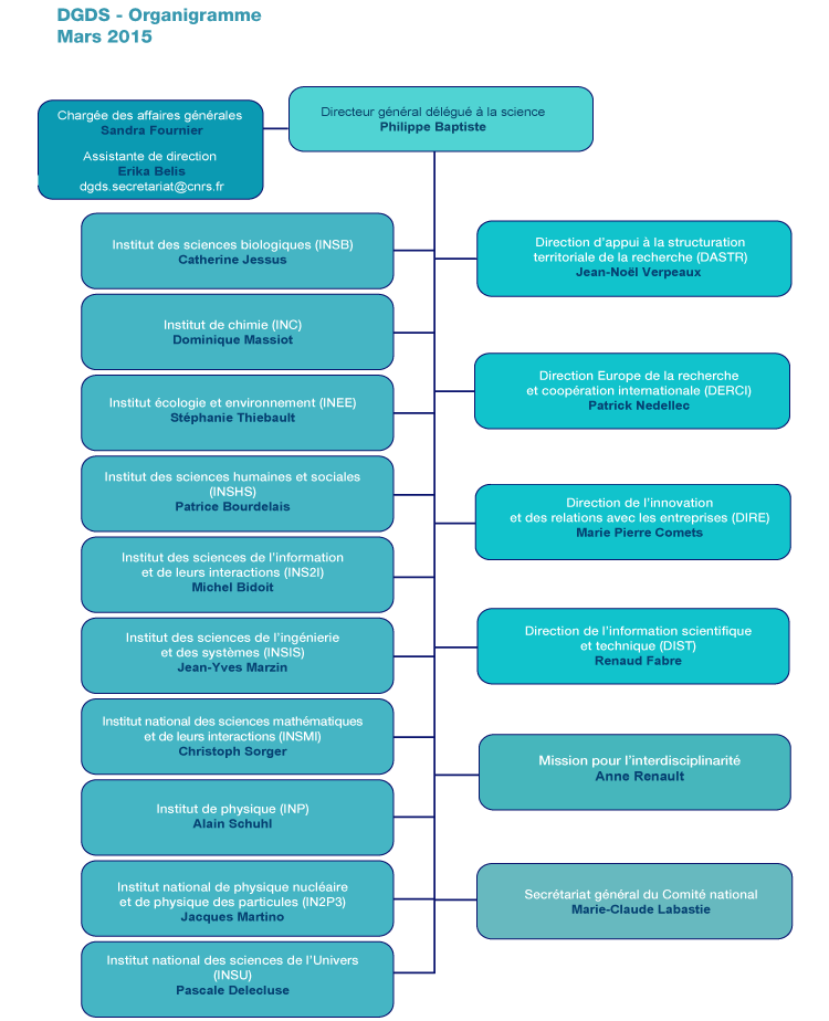 Organigramme de la DGDS