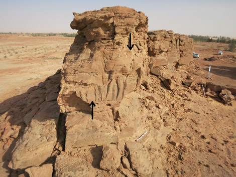 Défilé de deux dromadaires sur l'éperon C du Camel Site, probablement restés inachevés.