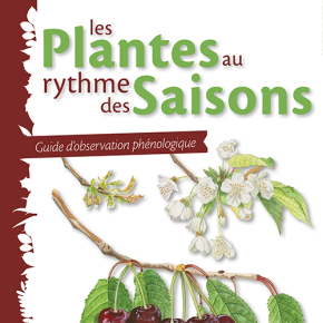 Les plantes au rythme des saisons : Guide d'observation phénologique