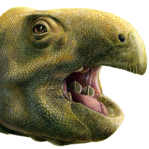 Un dinosaure végétarien avec des dents qui coupent comme des ciseaux