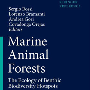 Marine animal forests: the ecology of benthic biodiversity hotspots