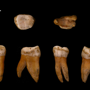 Le génome de cinq néandertaliens tardifs donne un nouvel aperçu de l’histoire du peuplement néandertalien