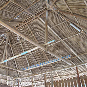 Usage des bois ronds dans la construction traditionnelle en Guyane : des chercheurs documentent un savoir des communautés palikur