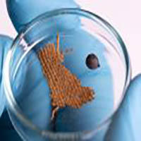 Vignette illustrant cette actualité