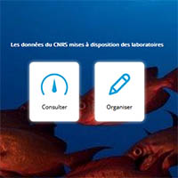 Vignette illustrant cette actualité