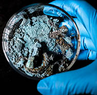 Vignette illustrant cette actualité