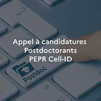 Vignette illustrant cette actualité