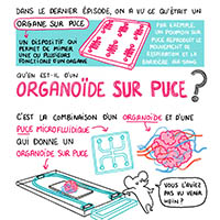 Vignette illustrant cette actualité