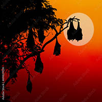 Vignette illustrant cette actualité