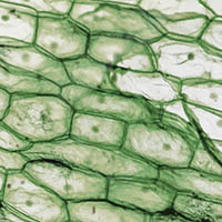 Vignette illustrant cette actualité