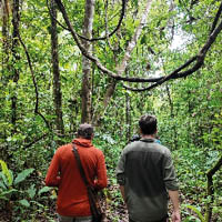 Vignette illustrant cette actualité