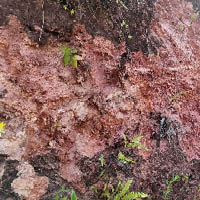 Vignette illustrant cette actualité