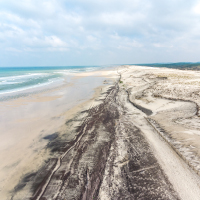 Vignette illustrant cette actualité