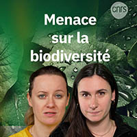 Vignette illustrant cette actualité