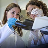 Vignette illustrant cette actualité