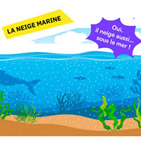 Image illustrant cette actualité