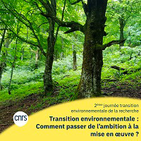 Image illustrant cette actualité