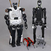 Vignette illustrant cette actualité