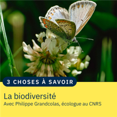 Vignette illustrant cette actualité