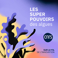 Vignette illustrant cette actualité