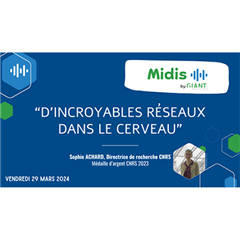 Vignette illustrant cette actualité