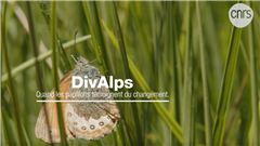 Vignette illustrant cette actualité