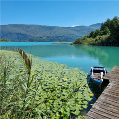 Vignette illustrant cette actualité