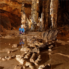 Vignette illustrant cette actualité