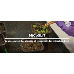 Vignette illustrant cette actualité