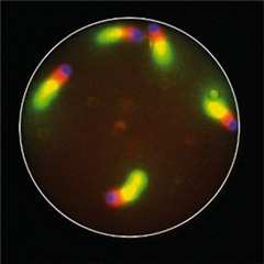 Vignette illustrant cette actualité