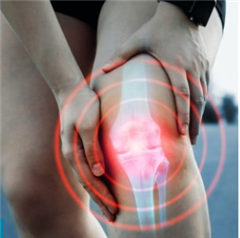 Vignette illustrant cette actualité