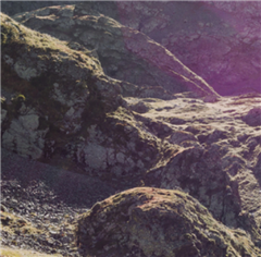 Vignette illustrant cette actualité