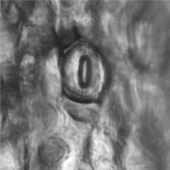 Vignette illustrant cette actualité