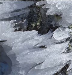 Vignette illustrant cette actualité