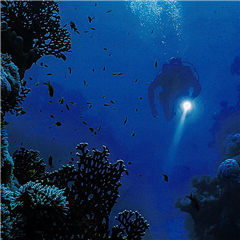 Vignette illustrant cette actualité