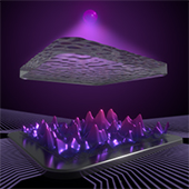 Vignette illustrant cette actualité