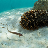 Vignette illustrant cette actualité