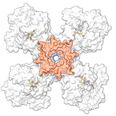 Vignette illustrant cette actualité