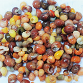 Vignette illustrant cette actualité