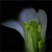 Vignette illustrant cette actualité