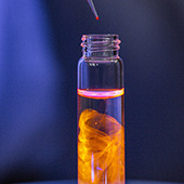 Vignette illustrant cette actualité