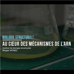 Vignette illustrant cette actualité