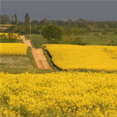 Vignette illustrant cette actualité