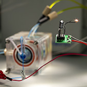 Vignette illustrant cette actualité