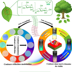 Vignette illustrant cette actualité