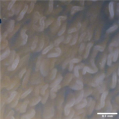 Vignette illustrant cette actualité