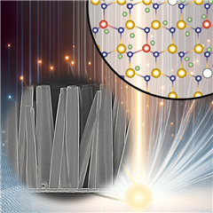 Vignette illustrant cette actualité