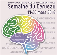 Vignette illustrant cette actualité