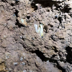 Vignette illustrant cette actualité