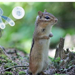 Vignette illustrant cette actualité